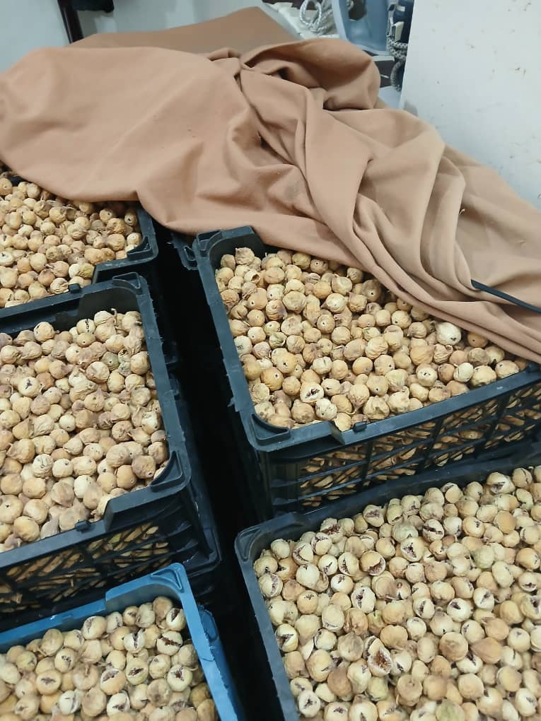 انجیر خشک ترکیه با کیفیت مطمئن